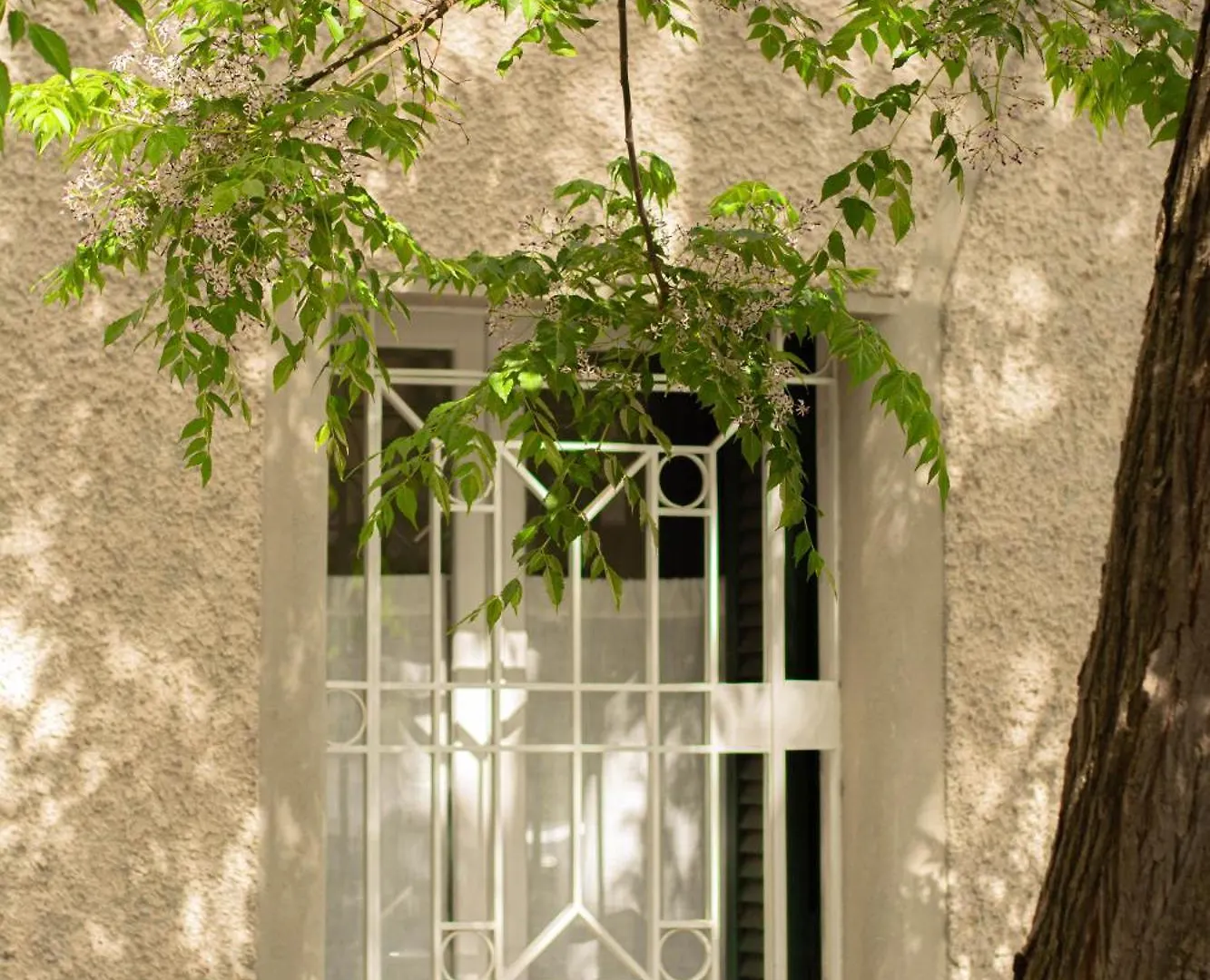 Domus Gianicolo 2B Apartment Rome